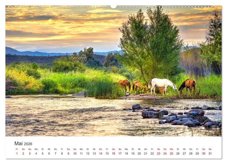 Produktbild: Freiheitsliebende Wildpferde (Wandkalender 2026 DIN A2 quer), CALVENDO Monatskalender