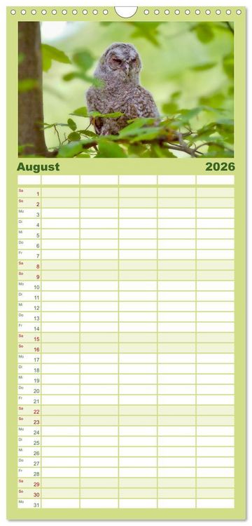 Produktbild: Familienplaner 2026 - geliebte Waldgeister mit 5 Spalten (Wandkalender, 21 x 45 cm) CALVENDO