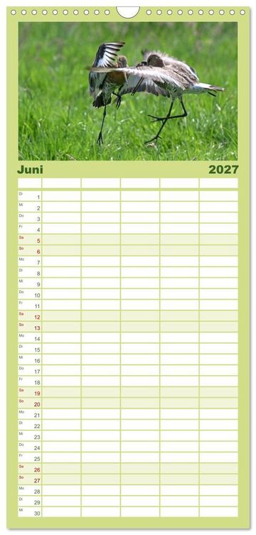 Produktbild: Familienplaner 2027 - Die bedrohten Uferschnepfen mit 5 Spalten (Wandkalender, 21 x 45 cm) CALVENDO