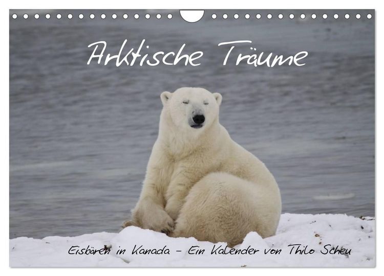 Produktbild: Arktische Tr&auml;ume - Eisb&auml;ren in Kanada (Wandkalender 2027 DIN A4 quer), CALVENDO Monatskalender