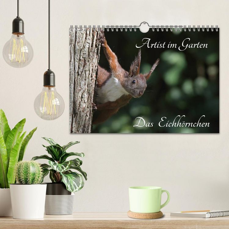 Produktbild: Artist im Garten. Das Eichh&ouml;rnchen (Wandkalender 2026 DIN A4 quer), CALVENDO Monatskalender