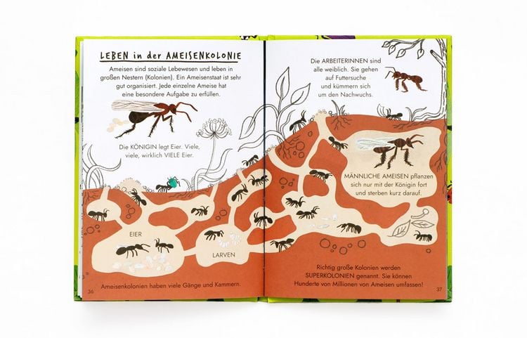 Produktbild: Hallo Insekten