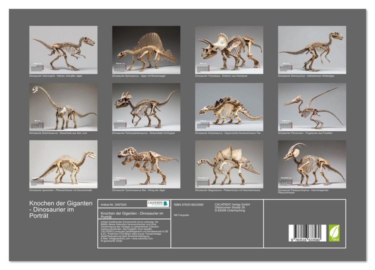 Produktbild: Knochen der Giganten - Dinosaurier im Portr&auml;t (Wandkalender 2026 DIN A3 quer), CALVENDO Monatskalender