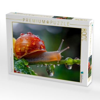 Produktbild: CALVENDO Puzzle Naturschauspiel - kleine Schnecke auf Tautropen | 1000 Teile Lege-Gr&ouml;&szlig;e 64x48cm Foto-Puzzle f&uuml;r gl&uuml;ckliche Stunden