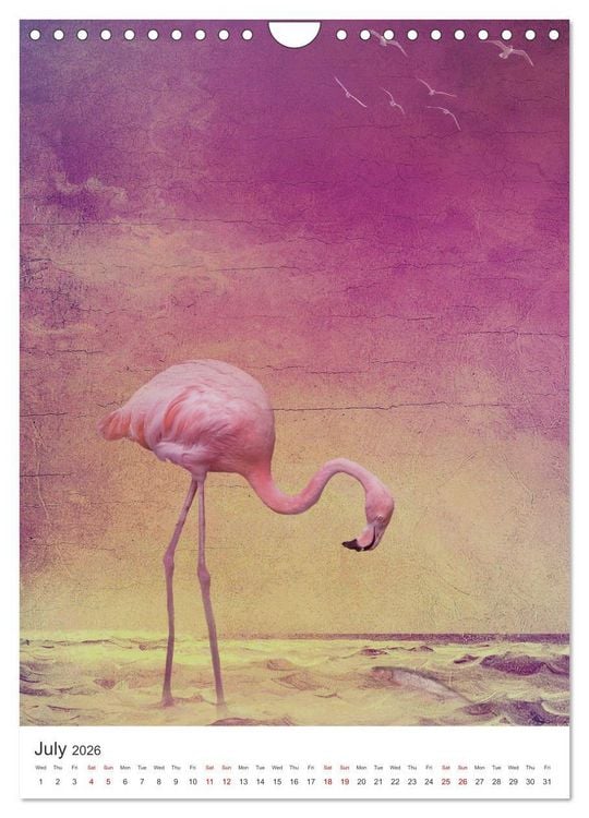 Produktbild: Flamingo and the sea (Wall Calendar 2026 DIN A4 portrait), CALVENDO 12 Month Wall Calendar
