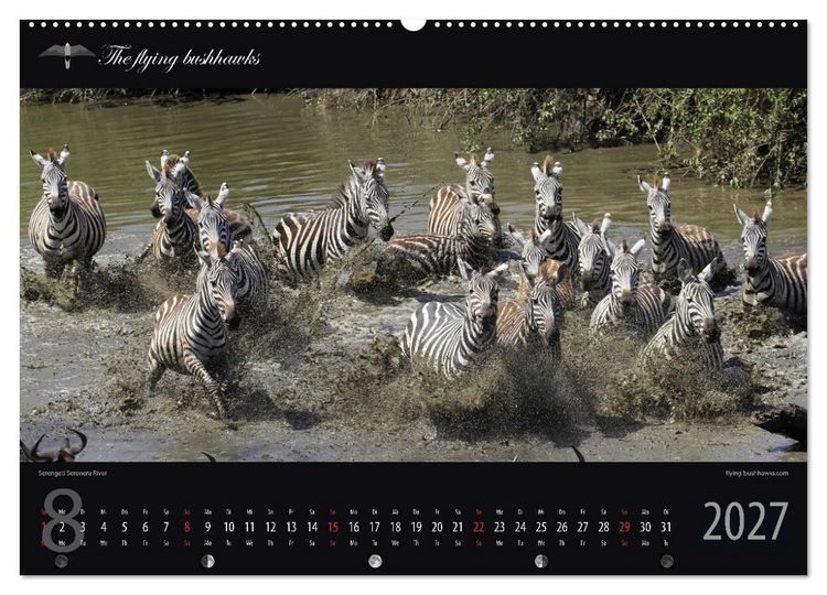 Produktbild: Tansania Blickwinkel 2027 (Wandkalender 2027 DIN A2 quer), CALVENDO Monatskalender