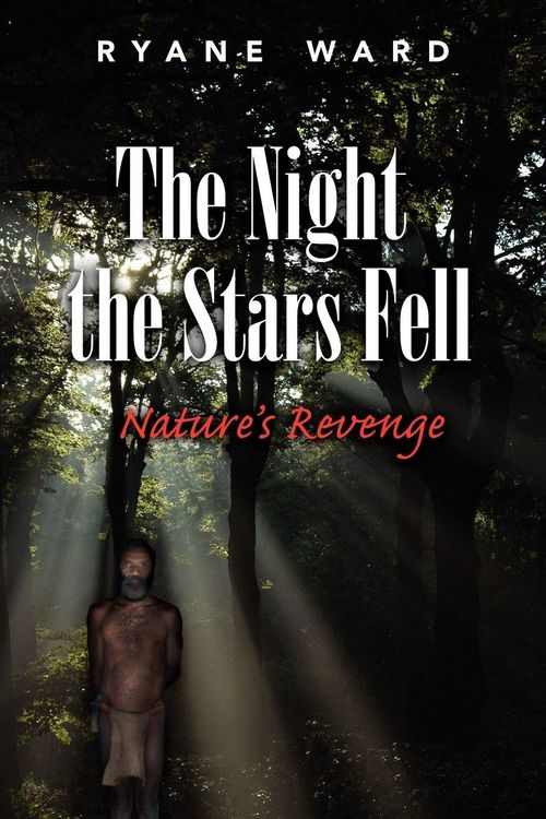 Produktbild: The Night the Stars Fell