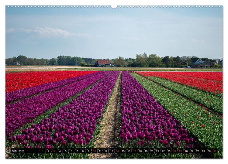 Produktbild: Egmond aan Zee - Nat&uuml;rlich (hochwertiger Premium Wandkalender 2026 DIN A2 quer), Kunstdruck in Hochglanz