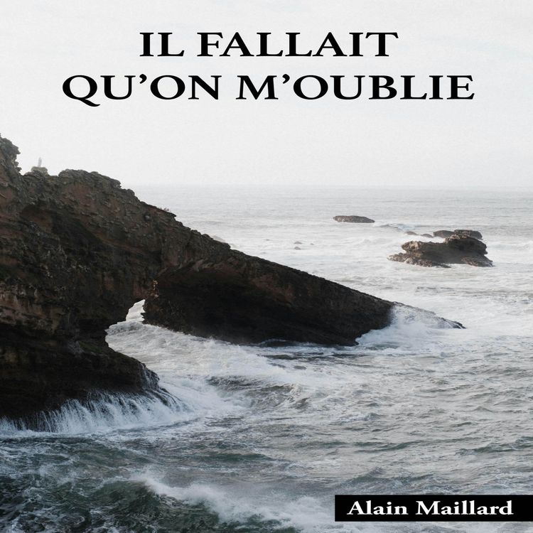 Produktbild: Il fallait qu'on m'oublie