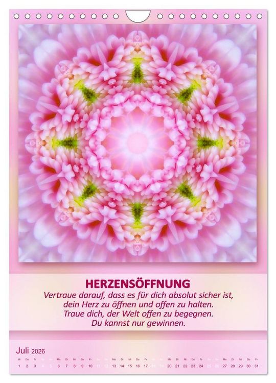 Produktbild: Light Energy Mandalas - Kalender - Vol. 1 (Wandkalender 2026 DIN A4 hoch), CALVENDO Monatskalender