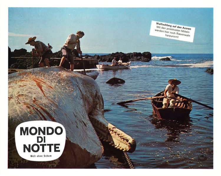 Produktbild: Mondo di notte - Welt ohne Scham