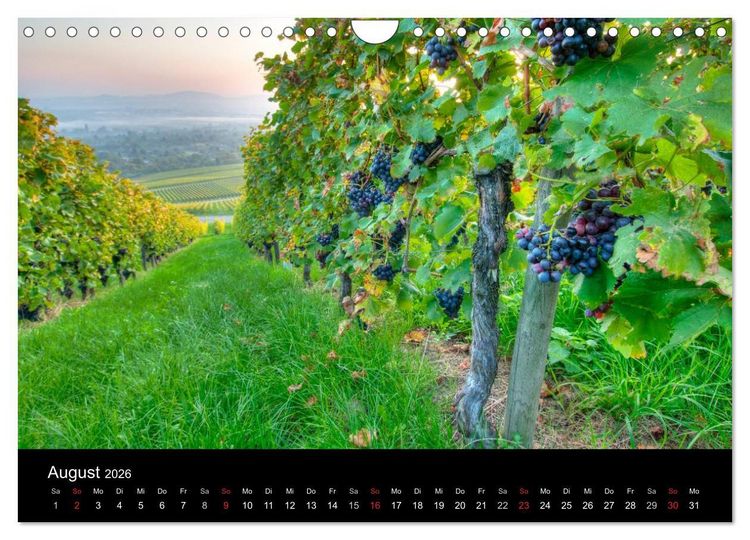 Produktbild: Weinberge im Remstal (Wandkalender 2026 DIN A4 quer), CALVENDO Monatskalender