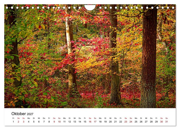 Produktbild: Naturwunder Stettiner Haff (Wandkalender 2027 DIN A4 quer), CALVENDO Monatskalender