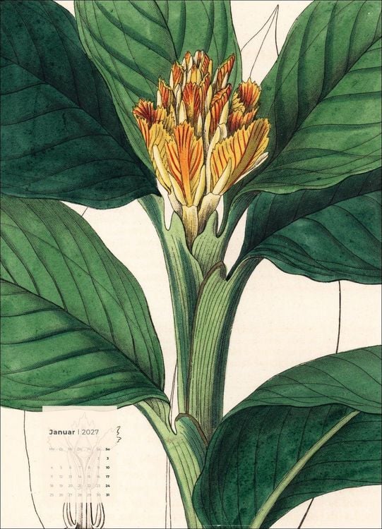 Produktbild: Botanicals Kalender 2027
