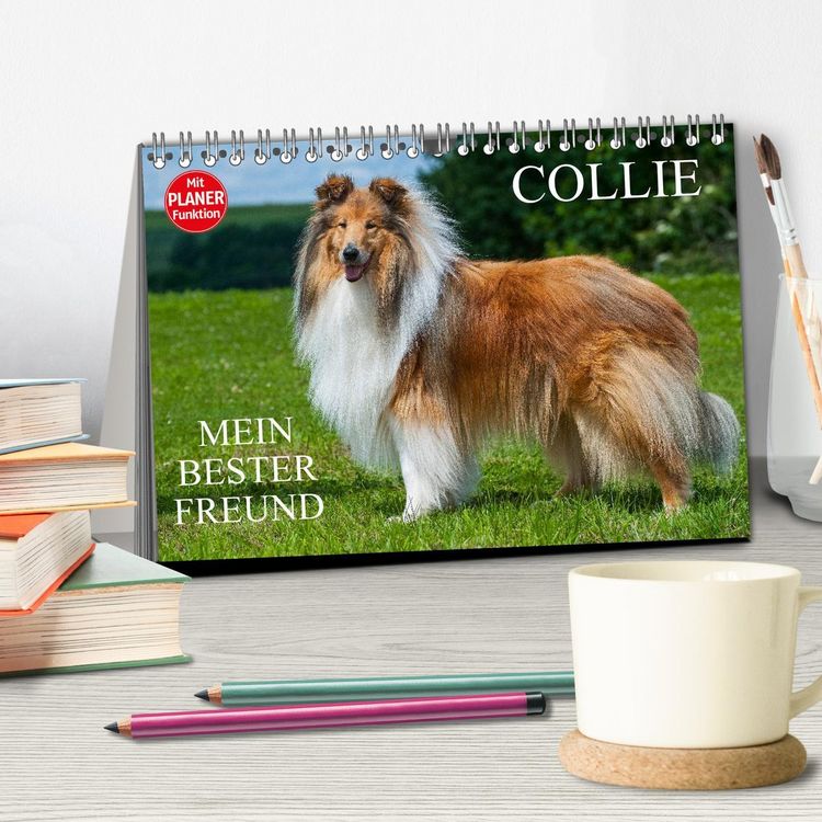 Produktbild: Collie - Mein bester Freund (Tischkalender 2026 DIN A5 quer), CALVENDO Monatskalender