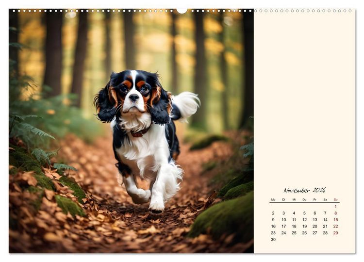 Produktbild: Goldige Kavalier King Charles Spaniels (hochwertiger Premium Wandkalender 2026 DIN A2 quer), Kunstdruck in Hochglanz