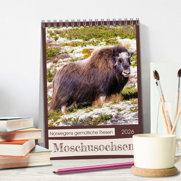 Produktbild: Moschusochsen - Norwegens gem&uuml;tliche Riesen (Tischkalender 2026 DIN A5 hoch), CALVENDO Monatskalender