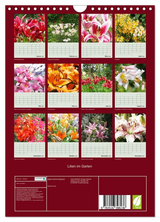 Produktbild: Lilien im Garten (Wandkalender 2026 DIN A4 hoch), CALVENDO Monatskalender
