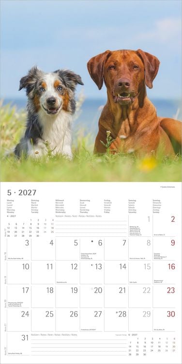 Produktbild: Hunde 2027