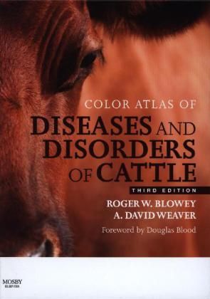 Produktbild: Color Atlas of Diseases and Disorders of Cattle