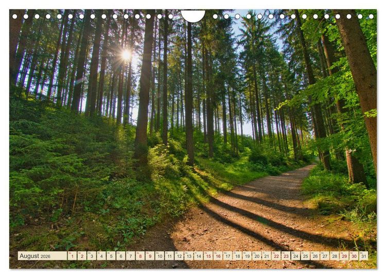 Produktbild: Landkreis Emmendingen - Streifz&uuml;ge durch den S&uuml;dwesten (Wandkalender 2026 DIN A4 quer), CALVENDO Monatskalender