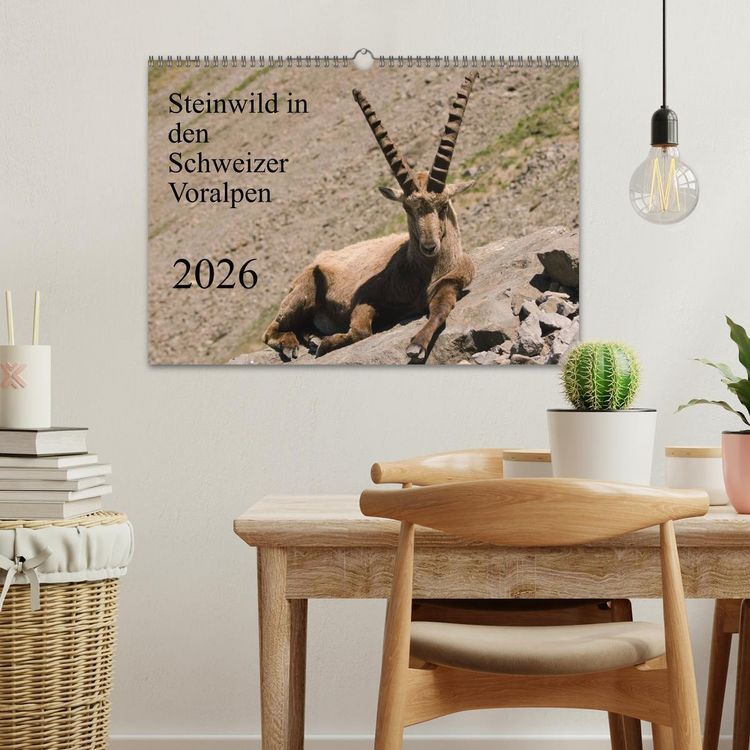 Produktbild: Steinwild in den Schweizer Voralpen (Wandkalender 2026 DIN A3 quer), CALVENDO Monatskalender