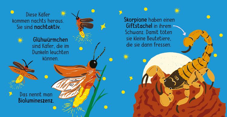 Produktbild: 50 W&ouml;rter &uuml;ber die Natur - Insekten