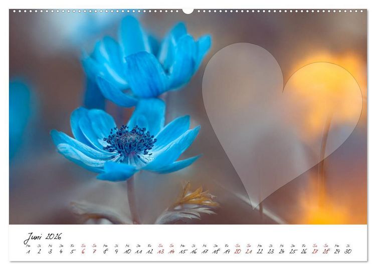 Produktbild: Blauer Bl&uuml;tentraum - Bastelkalender (Wandkalender 2026 DIN A2 quer), CALVENDO Monatskalender