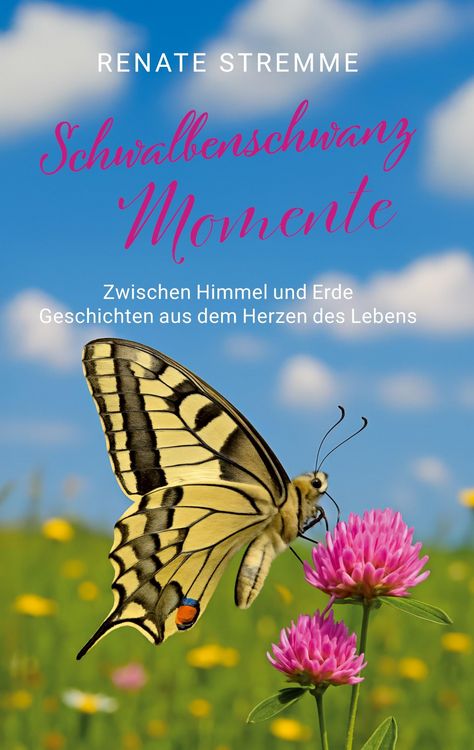 Produktbild: Schwalbenschwanz Momente