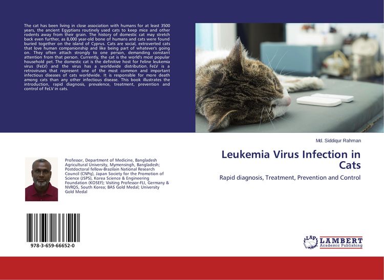 Produktbild: Leukemia Virus Infection in Cats
