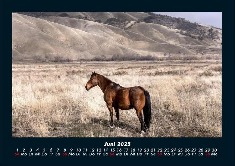 Produktbild: Die Welt der Pferde 2025 Fotokalender DIN A4