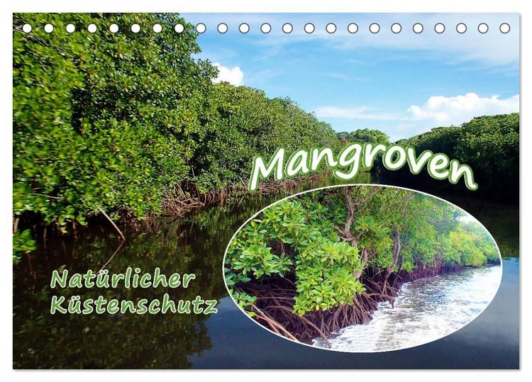 Produktbild: Mangroven - Nat&uuml;rlicher K&uuml;stenschutz (Tischkalender 2027 DIN A5 quer), CALVENDO Monatskalender