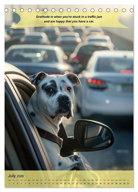 Produktbild: A year of greatfullness with funny animals (Desk Calendar 2026 DIN A5 portrait), CALVENDO 12 Month DeskCalendar