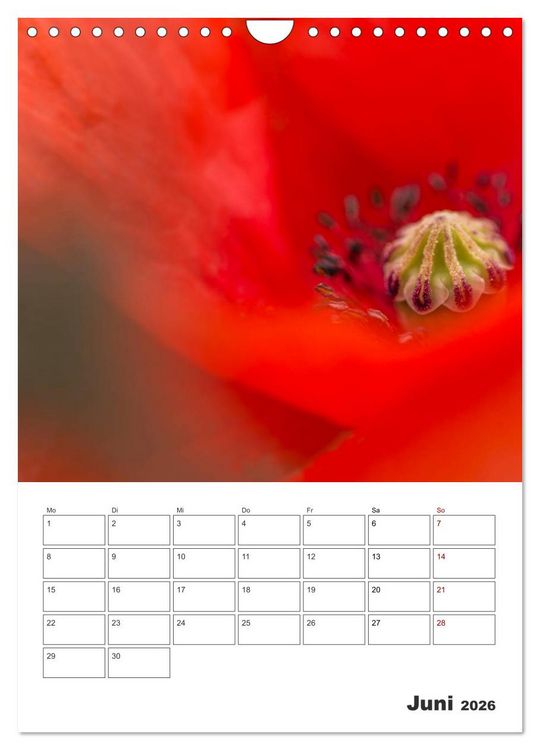 Produktbild: Farbiger Bl&uuml;tentraum (Wandkalender 2026 DIN A4 hoch), CALVENDO Monatskalender