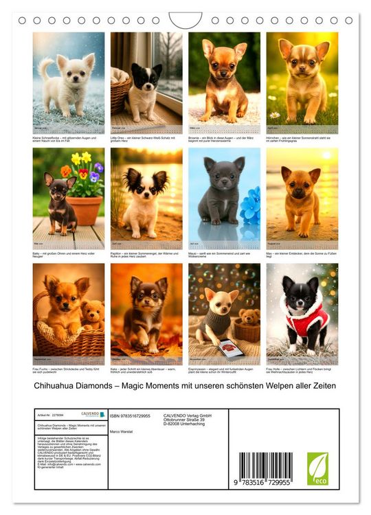Produktbild: Chihuahua Diamonds &ndash; Magic Moments mit unseren sch&ouml;nsten Welpen aller Zeiten (Wandkalender 2026 DIN A4 hoch), CALVENDO Monatskalender