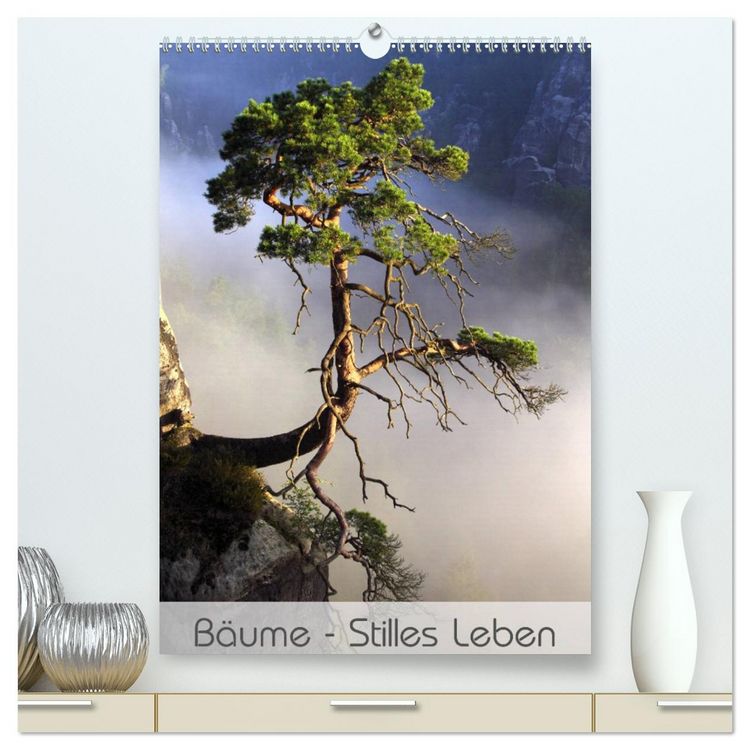 Produktbild: B&auml;ume - Stilles Leben (hochwertiger Premium Wandkalender 2026 DIN A2 hoch), Kunstdruck in Hochglanz