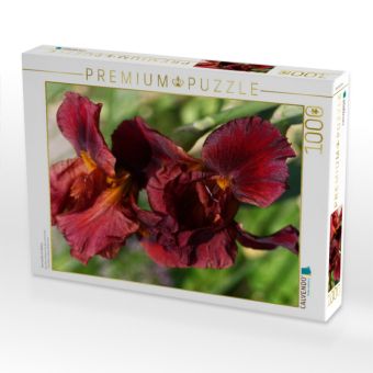 Produktbild: CALVENDO Puzzle Traumhafte Iris Bl&uuml;ten | 1000 Teile Lege-Gr&ouml;&szlig;e 64x48cm Foto-Puzzle f&uuml;r gl&uuml;ckliche Stunden