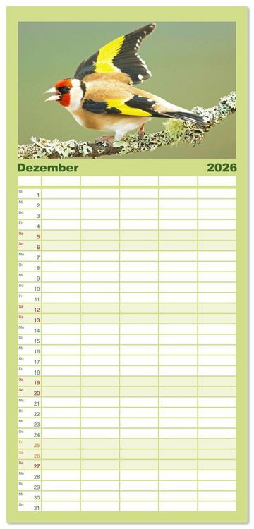 Produktbild: Familienplaner 2026 - V&ouml;gel in unserer Heimat: Kiebitz, Wiedehopf und Turteltaube mit 5 Spalten (Wandkalender, 21 x 45 cm) CALVENDO