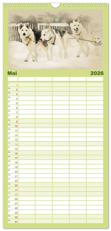 Produktbild: Familienplaner 2026 - Schlittenhunde 2026 mit 5 Spalten (Wandkalender, 21 x 45 cm) CALVENDO