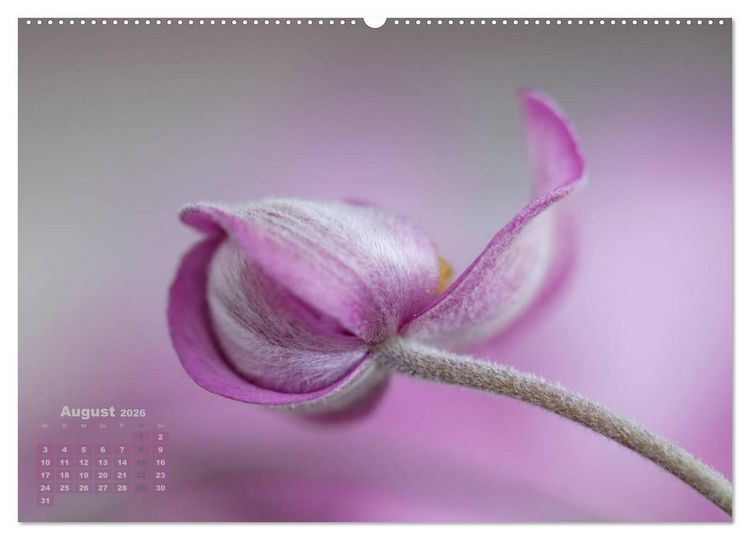 Produktbild: Zauberhafte Bl&uuml;ten (Wandkalender 2026 DIN A2 quer), CALVENDO Monatskalender