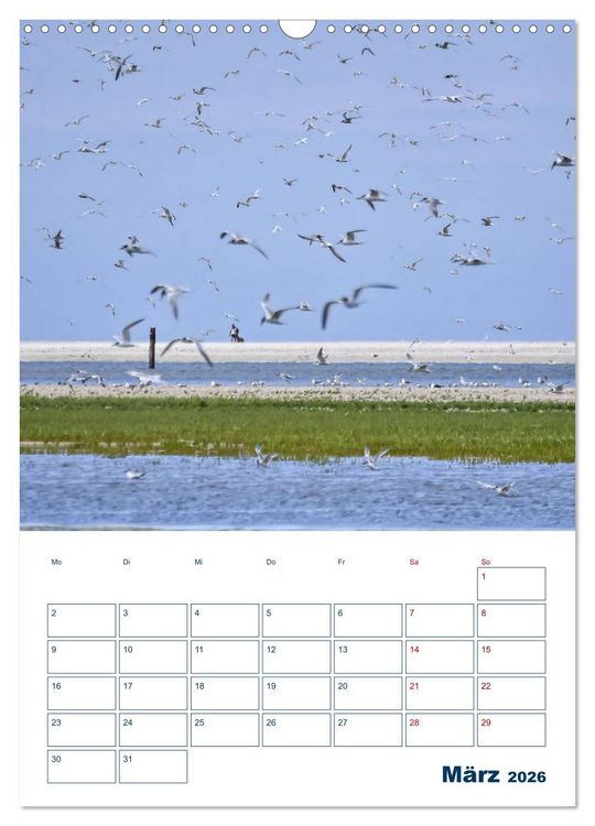 Produktbild: Texel - Momente die verzaubern (Wandkalender 2026 DIN A3 hoch), CALVENDO Monatskalender