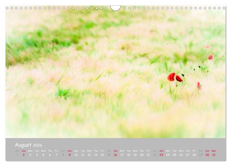 Produktbild: Poppy Love (Wall Calendar 2026 DIN A3 landscape), CALVENDO 12 Month Wall Calendar