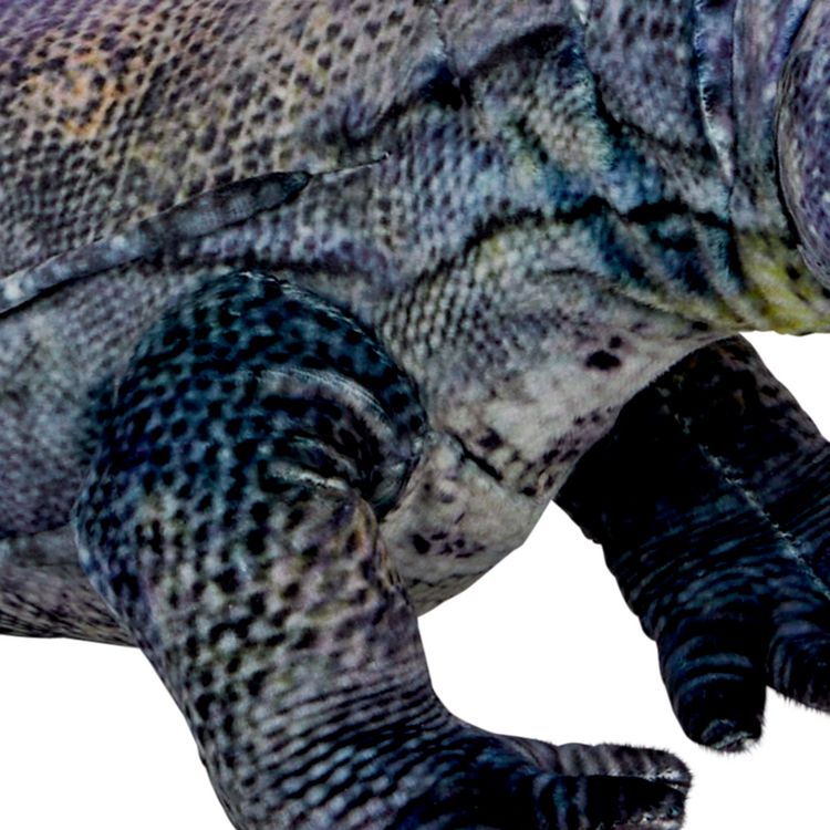Produktbild: Waran - Nature Zoom Wild