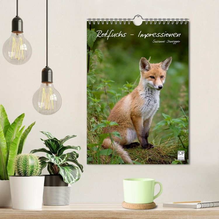 Produktbild: Rotfuchs - Impressionen (Wandkalender 2026 DIN A4 hoch), CALVENDO Monatskalender