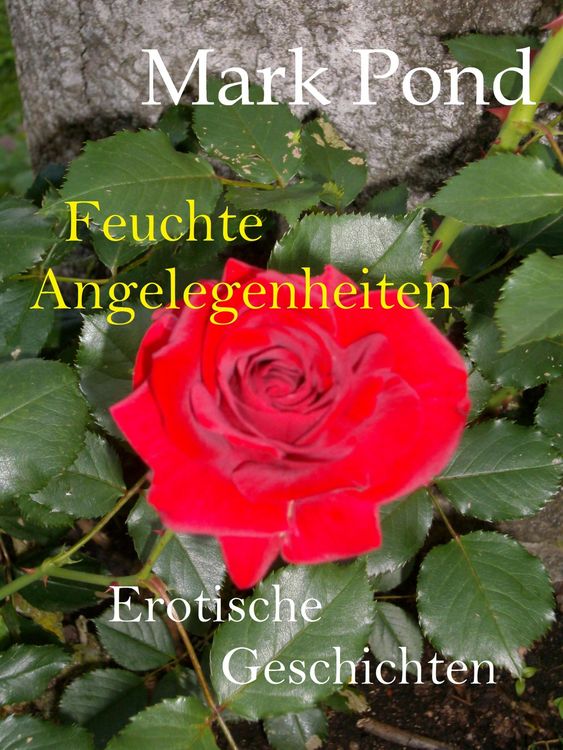 Produktbild: Feuchte Angelegenheiten