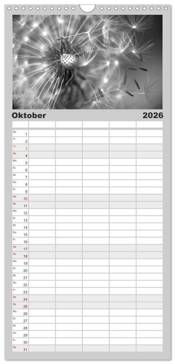 Produktbild: Familienplaner 2026 - Pusteblume - Impressionen in schwarzwei&szlig; mit 5 Spalten (Wandkalender, 21 x 45 cm) CALVENDO
