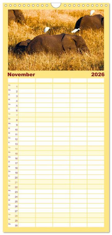 Produktbild: Familienplaner 2026 - Mosambik - Eine Perle im S&uuml;den Afrikas. mit 5 Spalten (Wandkalender, 21 x 45 cm) CALVENDO