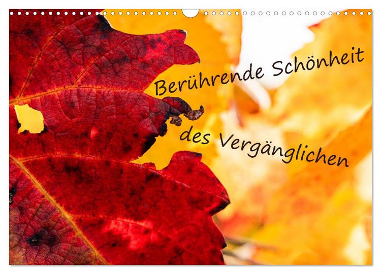 Produktbild: Ber&uuml;hrende Sch&ouml;nheit des Verg&auml;nglichen (Wandkalender 2026 DIN A3 quer), CALVENDO Monatskalender