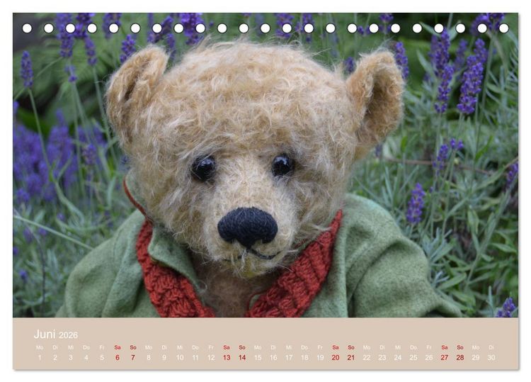 Produktbild: Robin der B&auml;r (Tischkalender 2026 DIN A5 quer), CALVENDO Monatskalender