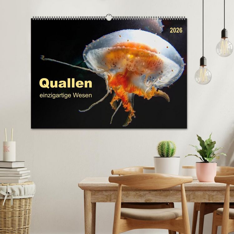 Produktbild: Quallen - einzigartige Wesen (Wandkalender 2026 DIN A2 quer), CALVENDO Monatskalender